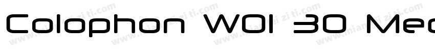 Colophon W01 30 Medium字体转换